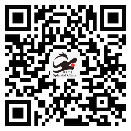 親，掃一掃<br/>瀏覽安卓云網(wǎng)站